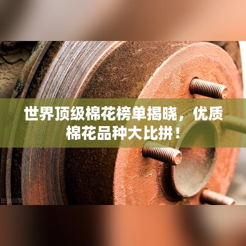 世界顶级棉花榜单揭晓，优质棉花品种大比拼！