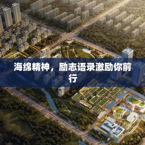 海绵精神，励志语录激励你前行