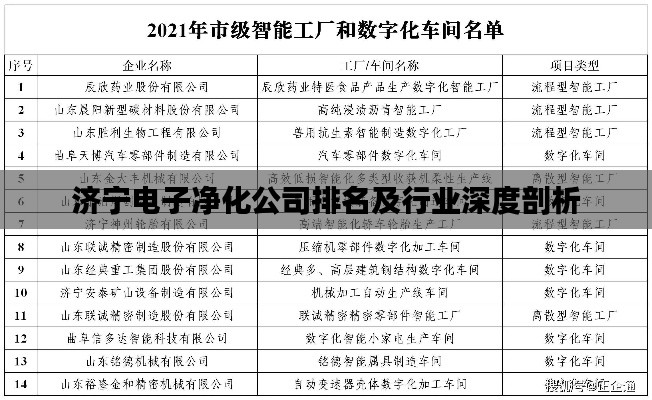 济宁电子净化公司排名及行业深度剖析