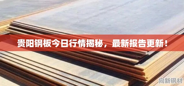 贵阳钢板今日行情揭秘，最新报告更新！
