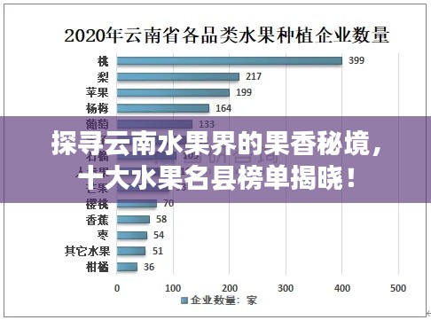探寻云南水果界的果香秘境，十大水果名县榜单揭晓！