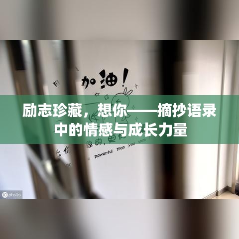 励志珍藏，想你——摘抄语录中的情感与成长力量