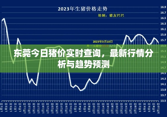 东莞今日猪价实时查询，最新行情分析与趋势预测