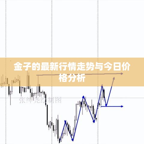金子的最新行情走势与今日价格分析