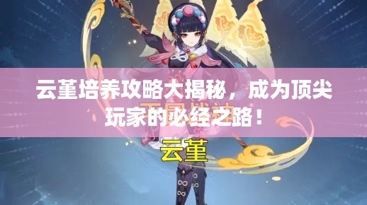 云堇培养攻略大揭秘，成为顶尖玩家的必经之路！