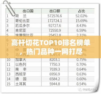 高杆切花TOP10排名榜单，热门品种一网打尽