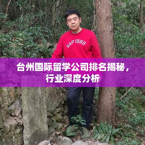 台州国际留学公司排名揭秘，行业深度分析