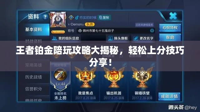 王者铂金陪玩攻略大揭秘，轻松上分技巧分享！