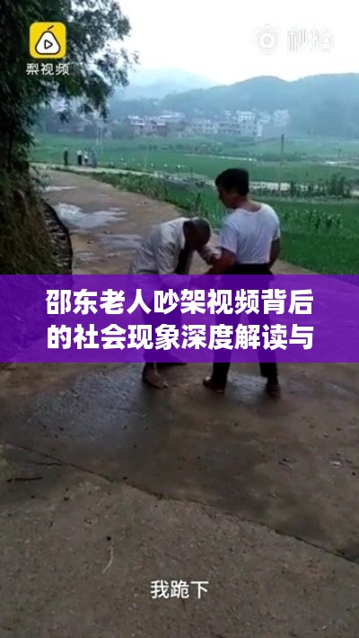 邵东老人吵架视频背后的社会现象深度解读与启示