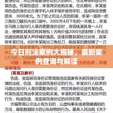 今日刑法案例大揭秘，最新案例查询与解读
