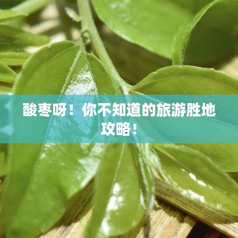 酸枣呀！你不知道的旅游胜地攻略！