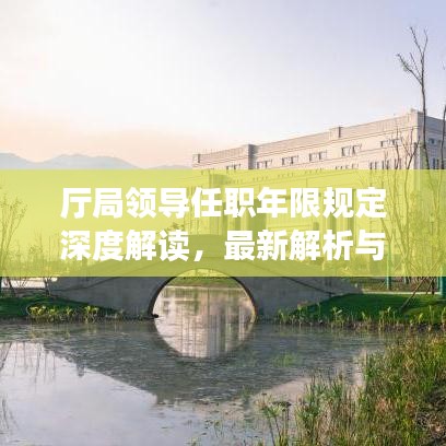 厅局领导任职年限规定深度解读，最新解析与要点梳理