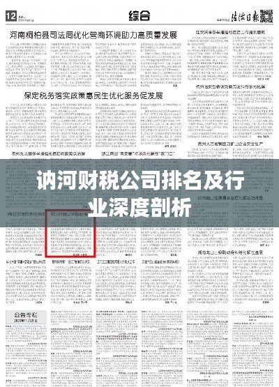 讷河财税公司排名及行业深度剖析