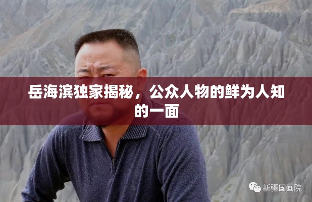 岳海滨独家揭秘，公众人物的鲜为人知的一面