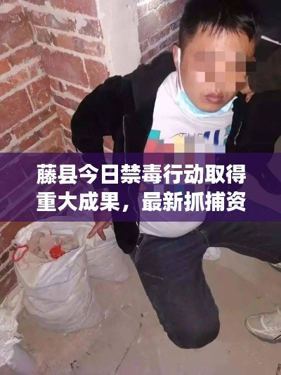 藤县今日禁毒行动取得重大成果，最新抓捕资讯