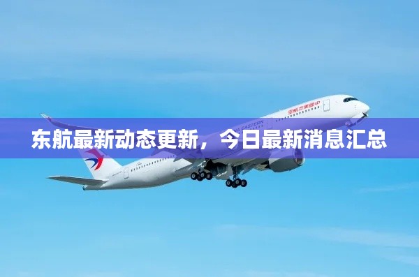 东航最新动态更新，今日最新消息汇总