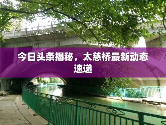 今日头条揭秘，太慈桥最新动态速递