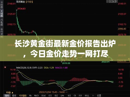 长沙黄金街最新金价报告出炉，今日金价走势一网打尽