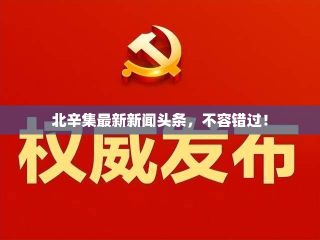 北辛集最新新闻头条，不容错过！