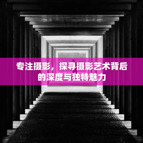 专注摄影，探寻摄影艺术背后的深度与独特魅力