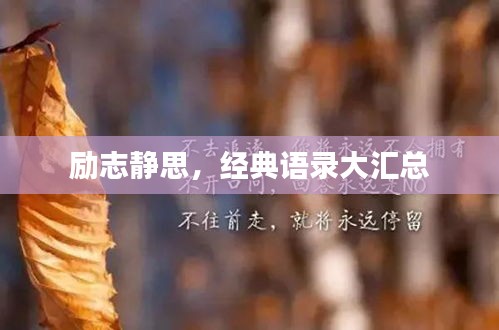 励志静思，经典语录大汇总