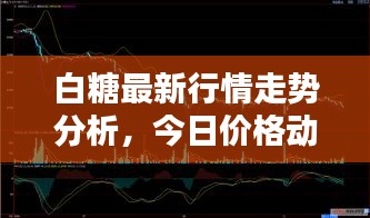 白糖最新行情走势分析，今日价格动态一网打尽！