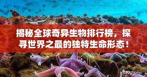 揭秘全球奇异生物排行榜，探寻世界之最的独特生命形态！