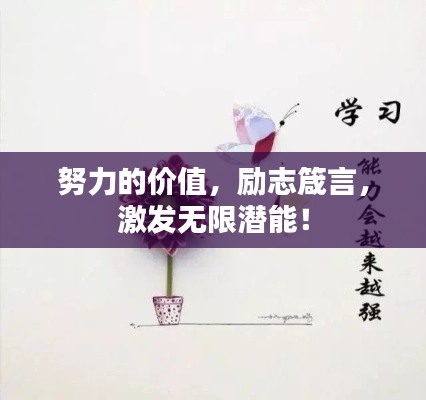 努力的价值，励志箴言，激发无限潜能！