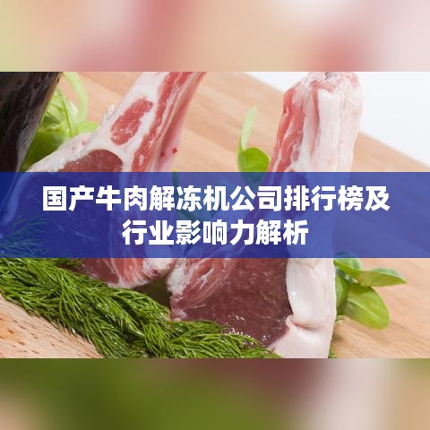 国产牛肉解冻机公司排行榜及行业影响力解析