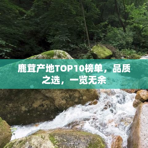 鹿茸产地TOP10榜单，品质之选，一览无余