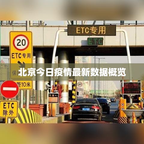 北京今日疫情最新数据概览