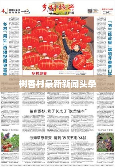 树香村最新新闻头条