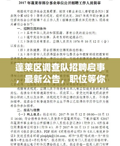 蓬莱区调查队招聘启事，最新公告，职位等你来挑战！