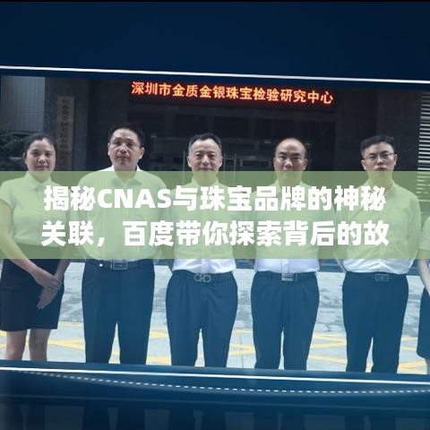揭秘CNAS与珠宝品牌的神秘关联，百度带你探索背后的故事