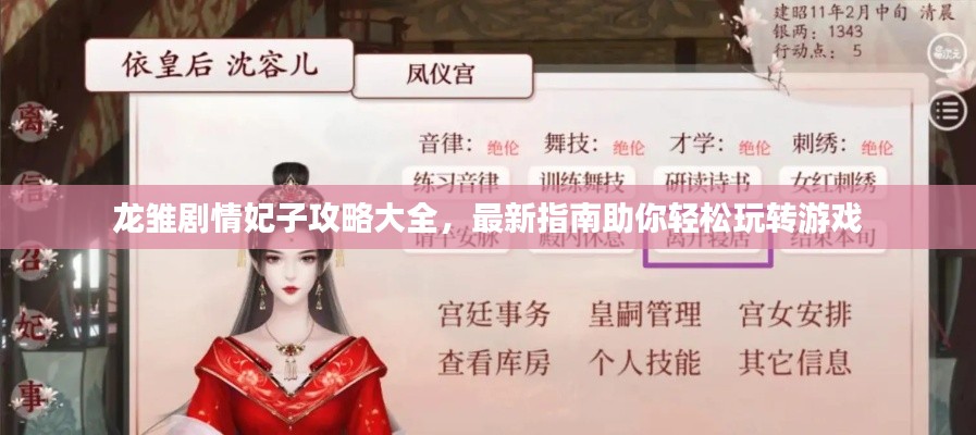龙雏剧情妃子攻略大全，最新指南助你轻松玩转游戏