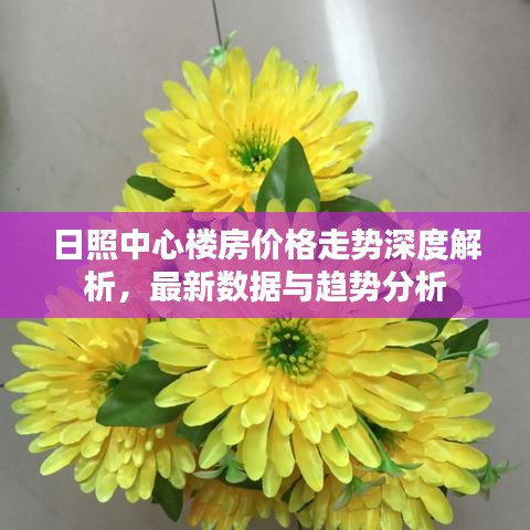 日照中心楼房价格走势深度解析，最新数据与趋势分析