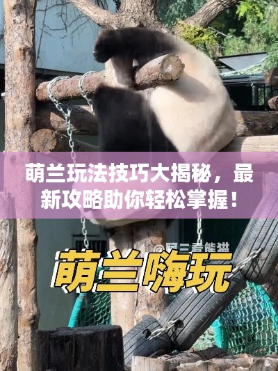 萌兰玩法技巧大揭秘，最新攻略助你轻松掌握！