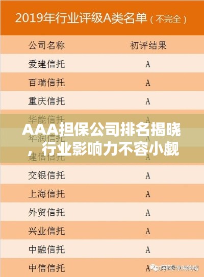 AAA担保公司排名揭晓，行业影响力不容小觑