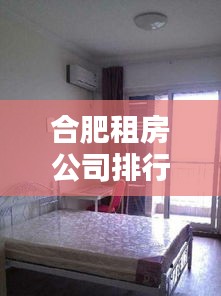 合肥租房公司排行榜揭晓，优质房源、专业服务，你选哪家？