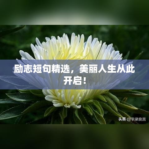 励志短句精选，美丽人生从此开启！