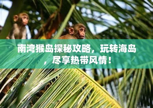 南湾猴岛探秘攻略，玩转海岛，尽享热带风情！