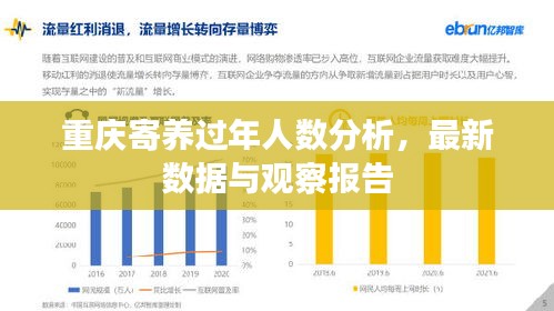 重庆寄养过年人数分析，最新数据与观察报告