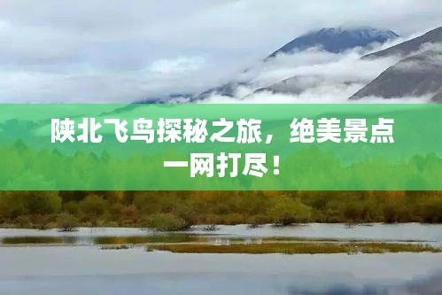 陕北飞鸟探秘之旅，绝美景点一网打尽！