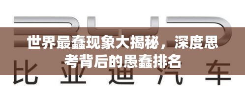 世界最蠢现象大揭秘，深度思考背后的愚蠢排名