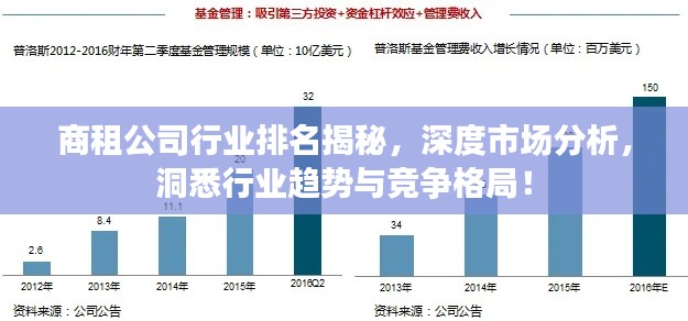 商租公司行业排名揭秘，深度市场分析，洞悉行业趋势与竞争格局！