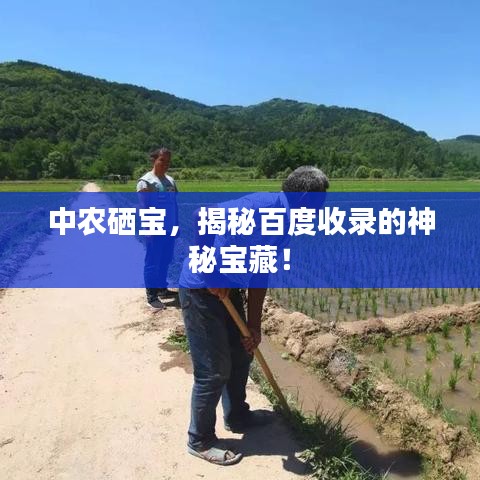 中农硒宝，揭秘百度收录的神秘宝藏！