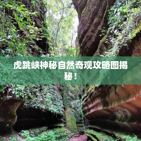 虎跳峡神秘自然奇观攻略图揭秘！