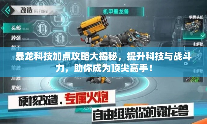 暴龙科技加点攻略大揭秘，提升科技与战斗力，助你成为顶尖高手！