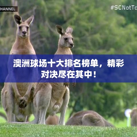 澳洲球场十大排名榜单，精彩对决尽在其中！
