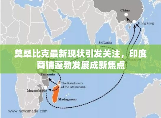 莫桑比克最新现状引发关注，印度商铺蓬勃发展成新焦点
